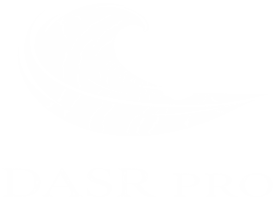 DASR Pro Transformative Consulting
